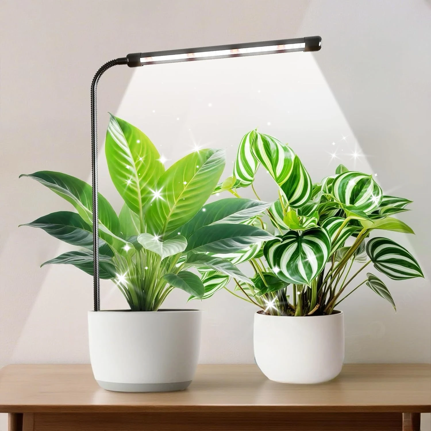 Grow Lights for Indoor Plants - Image 9
