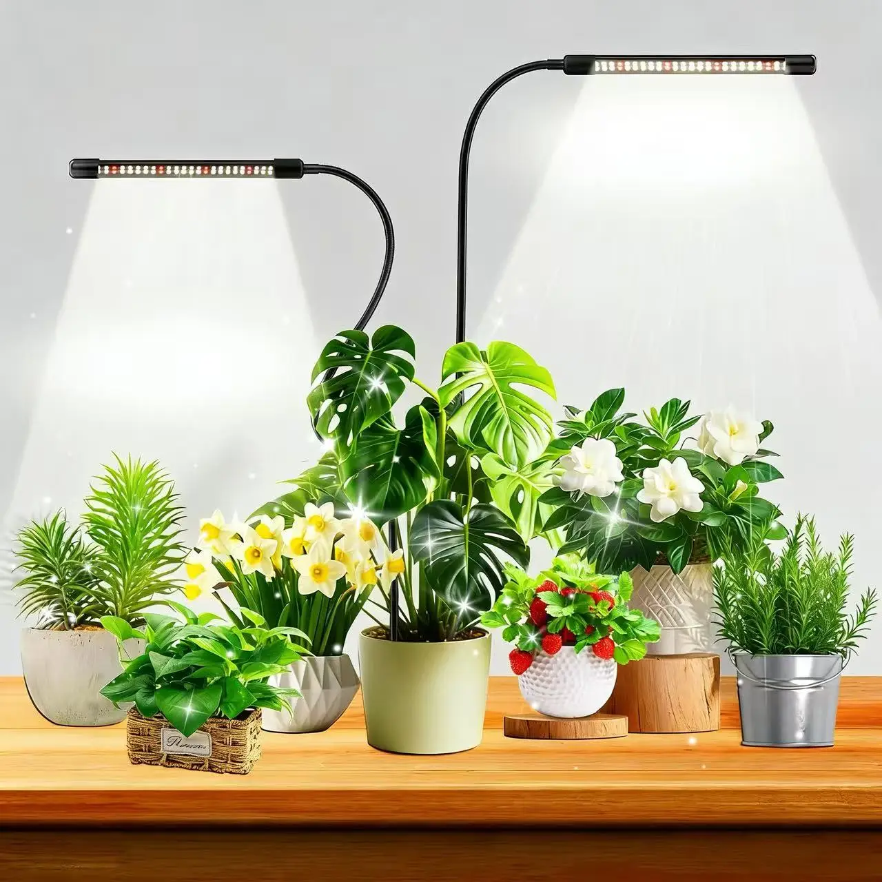 Grow Lights for Indoor Plants - Image 1